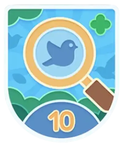 Cloud Walker achievement badge