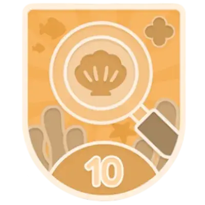 No Corner Left Behind achievement badge