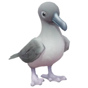 Grey-mantled Albatross in Heartopia