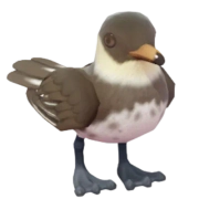 Pomarine Skua in Heartopia