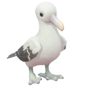 Wandering Albatross in Heartopia