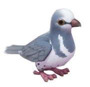 Wonga Pigeon in Heartopia