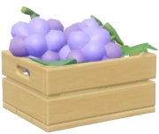 Grape crop