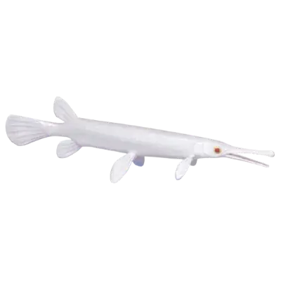 Silver Garfish fish image
