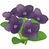 Black Flower from Heartopia