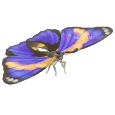 Agrias Butterfly insect image