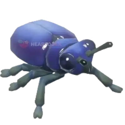 Blue Milkweed Beetle insect image