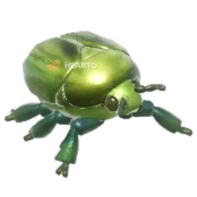 Green Flower Chafer insect image