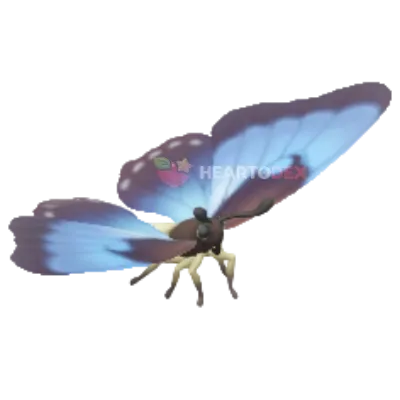 Morpho Luna insect image
