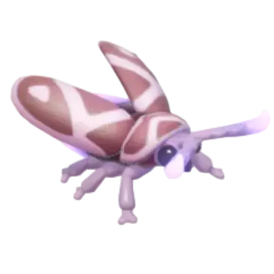 Purple-horned Firefly insect image
